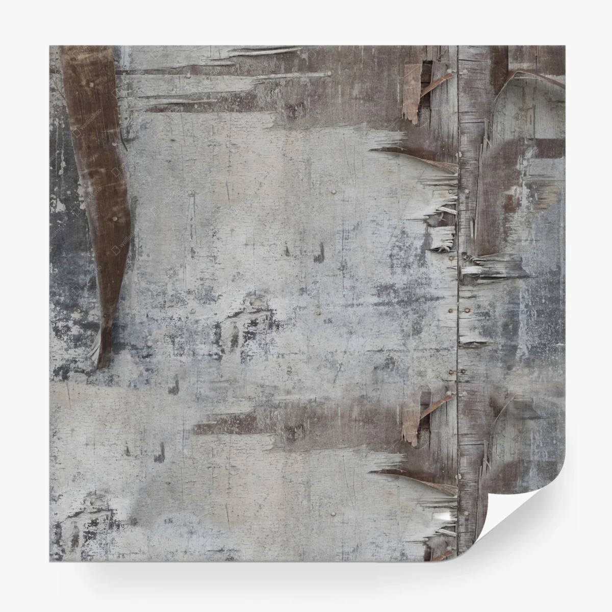 Papier peint abstraction murale en peinture écaillée – Wallnifity® Papier peint abstraction murale en peinture écaillée – Wallnifity®