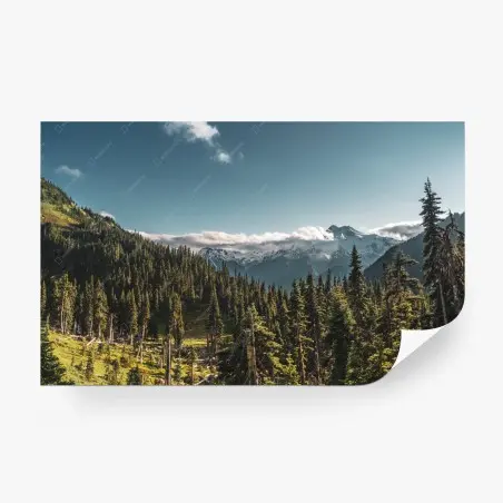 Papier peint paysage alpin: montagnes enneigées et forêt – Wallnifity®