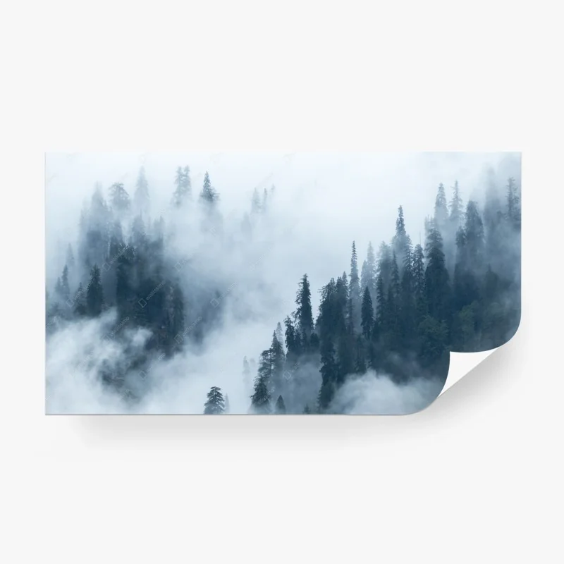Papier peint forêt de conifères enveloppée de brume – Wallnifity® Papier peint forêt de conifères enveloppée de brume – Wallnifity®