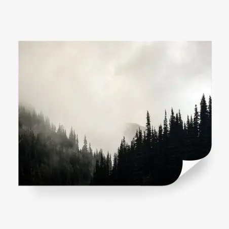 Papier peint forêt brumeuse aux silhouettes de conifères – Wallnifity®