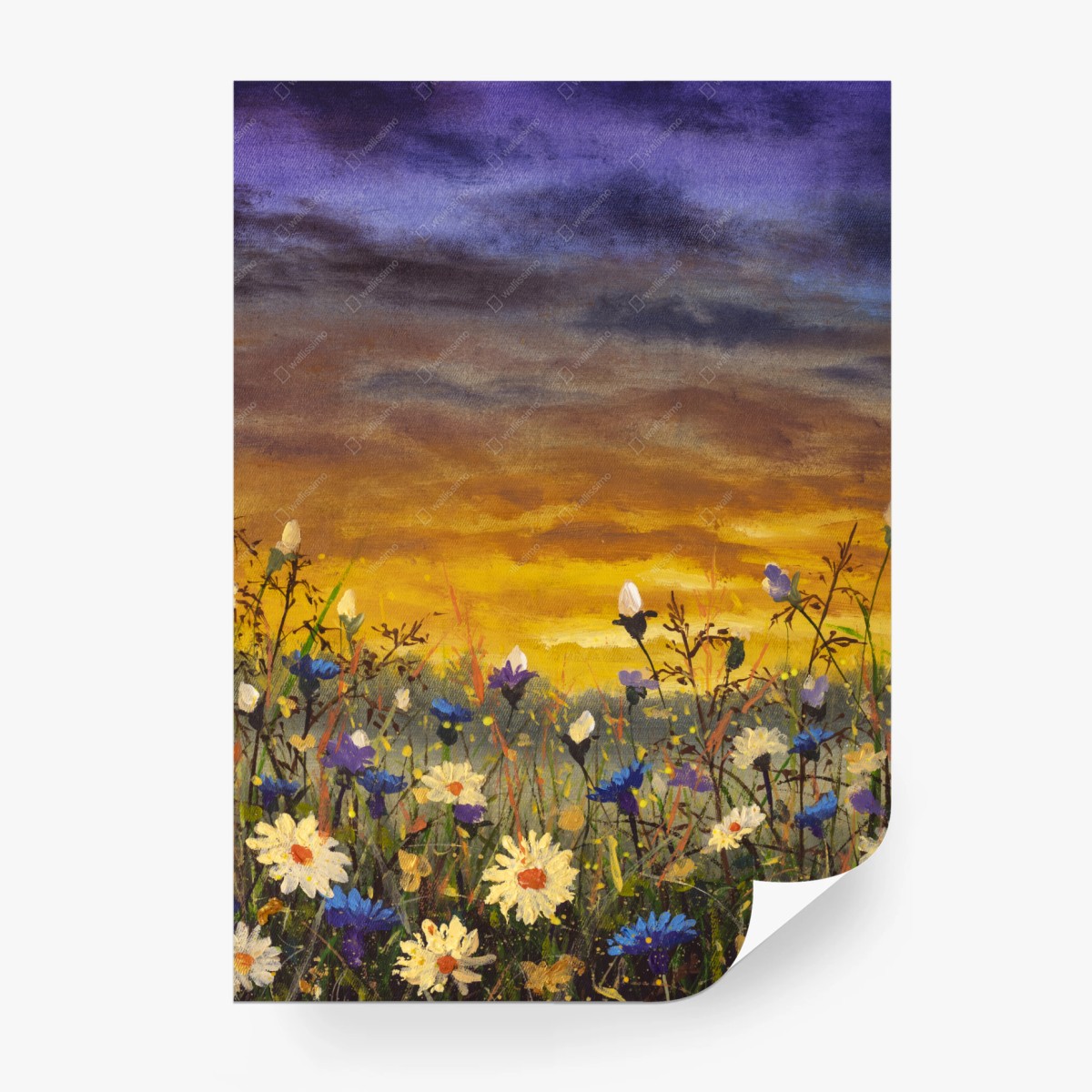 Papier peint champ de marguerites et bleuets au coucher de soleil, inspiration Claude Monet – Wallnifity®