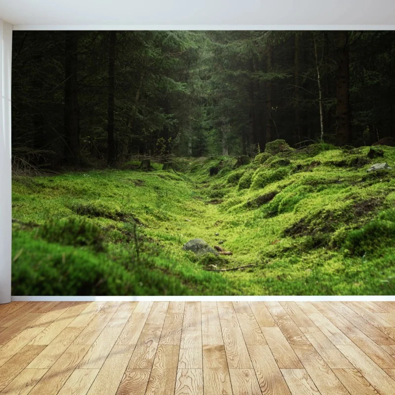 Forêts – Wallnifity®