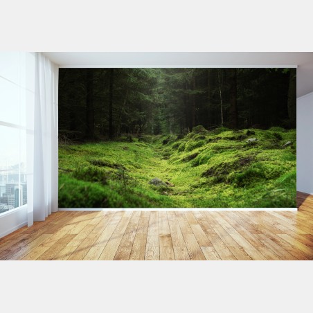 Papier peint sentier mousseux dans la forêt – Wallnifity®