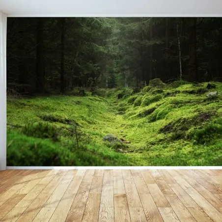 Papier peint sentier mousseux dans la forêt – Wallnifity®