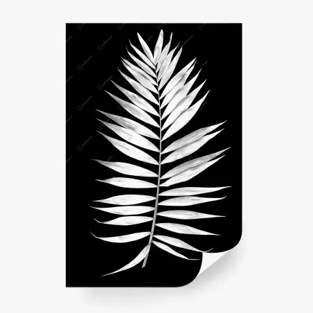 Papier peint feuille de palmier minimaliste en noir et blanc – Wallnifity®