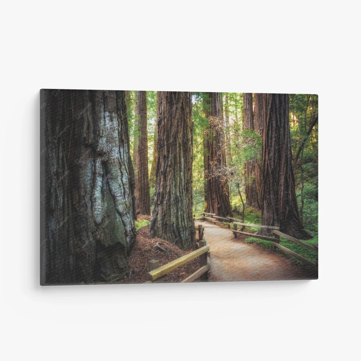 Tableau sur toile sentier entre séquoias majestueux – Wallnifity® Tableau sur toile sentier entre séquoias majestueux – Wallnifity®