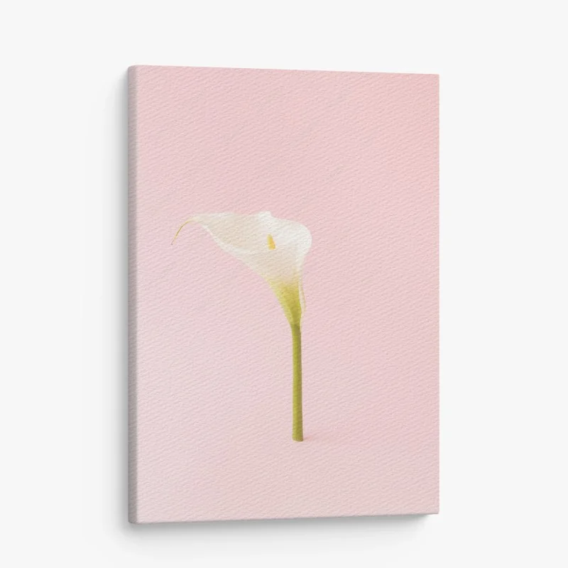 Tableaux sur toile – Wallnifity®