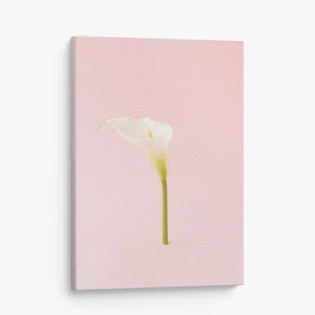 Tableau sur toile fleur d'arum élégante sur fond rose – Wallnifity®