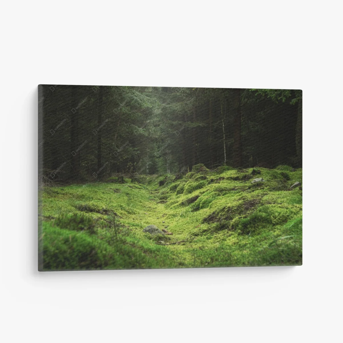 Tableau sur toile sentier mousseux dans la forêt – Wallnifity® Tableau sur toile sentier mousseux dans la forêt – Wallnifity®