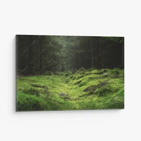 Tableau sur toile sentier mousseux dans la forêt – Wallnifity®