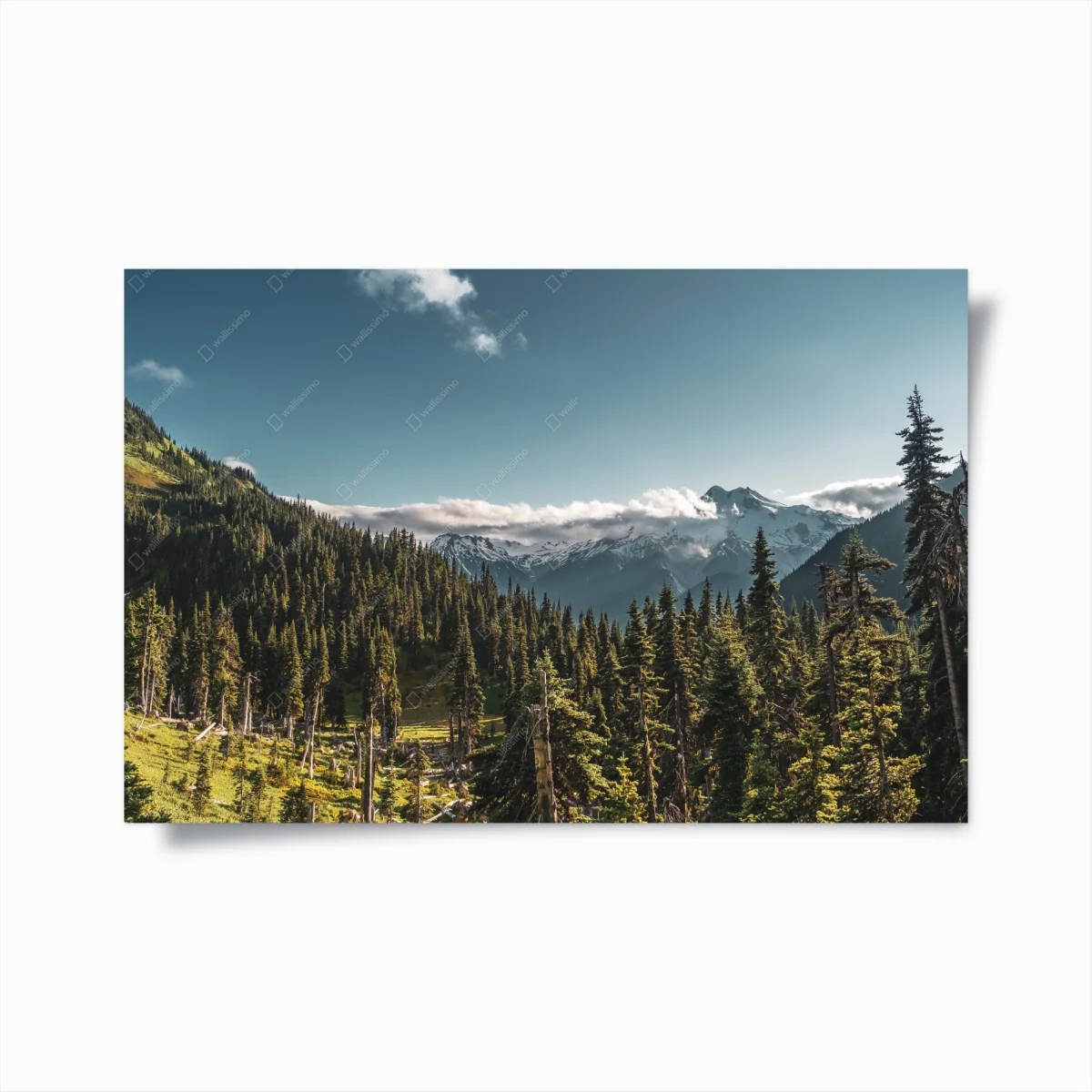Poster paysage alpin: montagnes enneigées et forêt – Wallnifity® Poster paysage alpin: montagnes enneigées et forêt – Wallnifity®