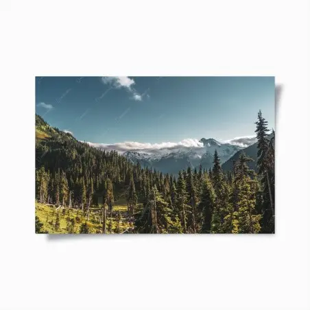 Poster paysage alpin: montagnes enneigées et forêt – Wallnifity®
