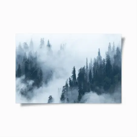Poster forêt de conifères enveloppée de brume – Wallnifity®