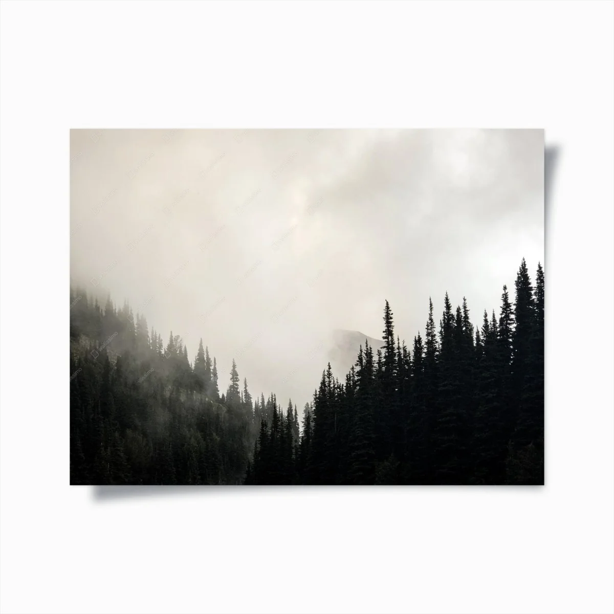 Poster forêt brumeuse aux silhouettes de conifères – Wallnifity® Poster forêt brumeuse aux silhouettes de conifères – Wallnifity®