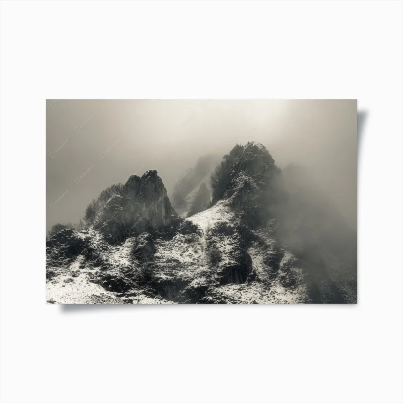 Posters – Wallnifity®