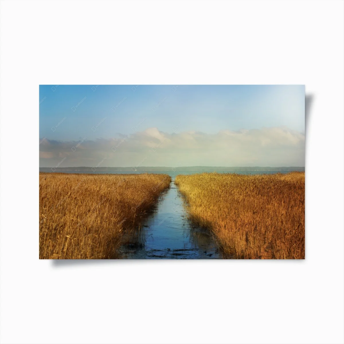 Poster voie d'eau entre roseaux dorés – Wallnifity® Poster voie d'eau entre roseaux dorés – Wallnifity®