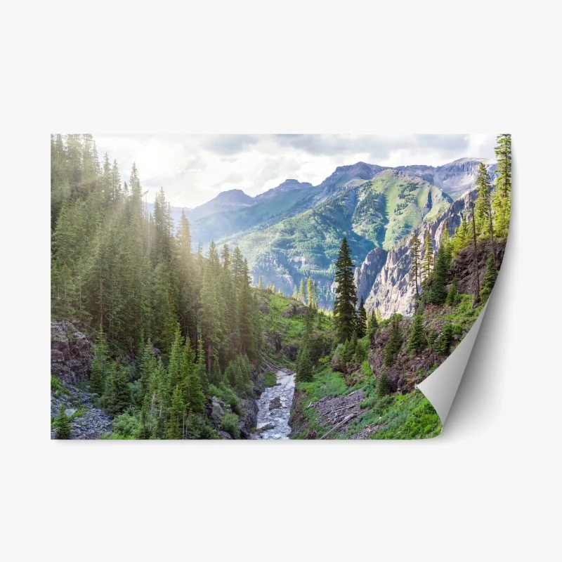 Nature – Wallnifity®
