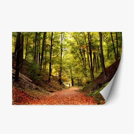 Sticker repositionnable balade au cœur de la forêt automnale – Wallnifity®