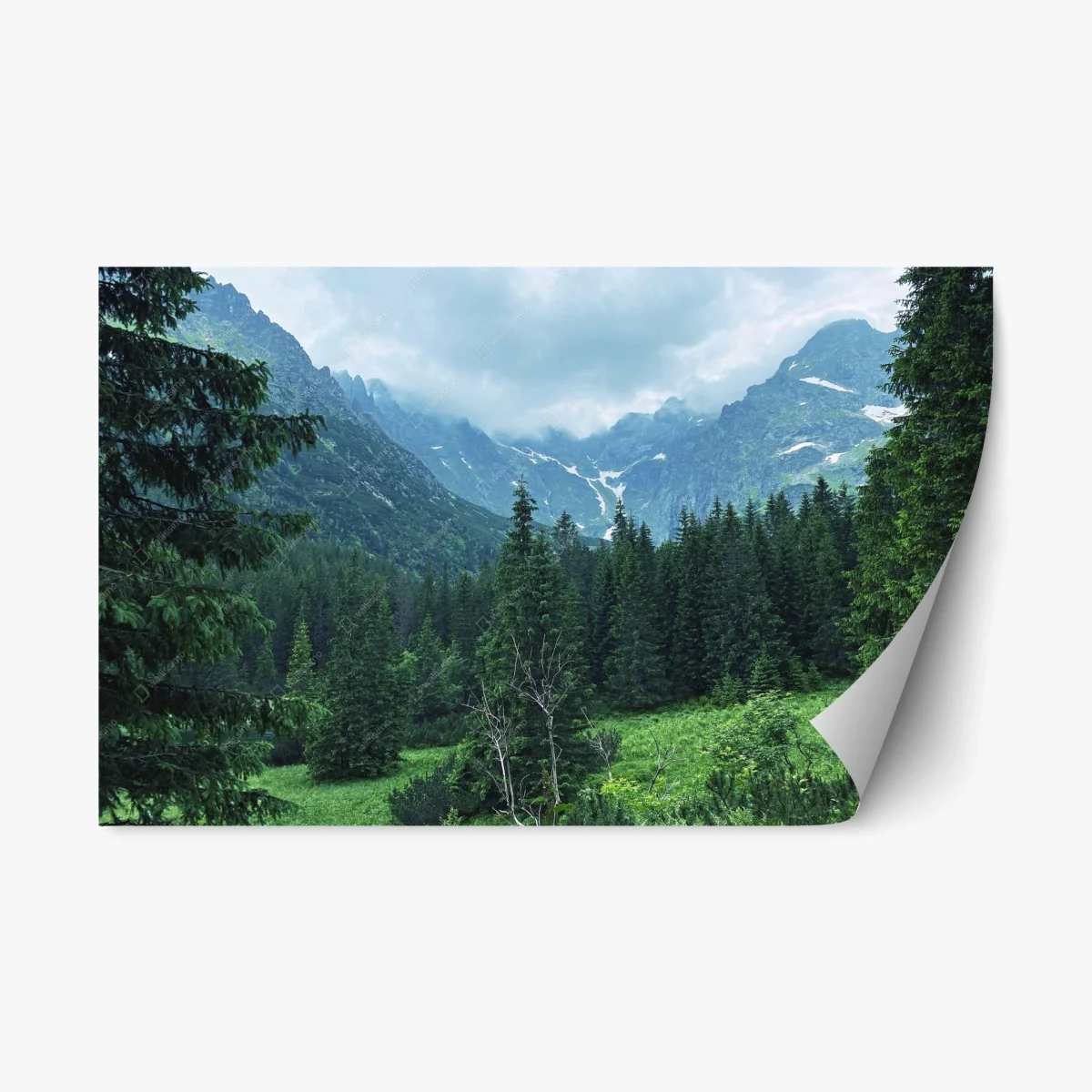 Sticker repositionnable vallée alpine brumeuse entre sapins – Wallnifity® Sticker repositionnable vallée alpine brumeuse entre sapins – Wallnifity®