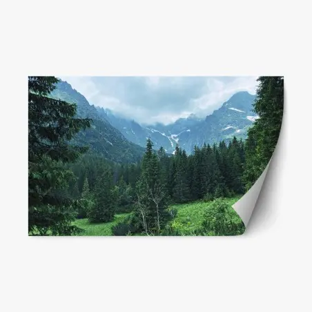 Sticker repositionnable vallée alpine brumeuse entre sapins – Wallnifity®