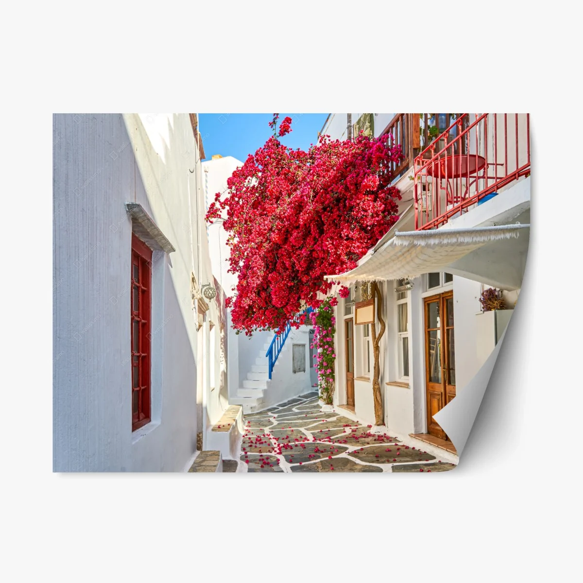 Sticker repositionnable ruelle méditerranéenne aux bougainvilliers éclatants – Wallnifity® Sticker repositionnable ruelle méditerranéenne aux bougainvilliers éclatants – Wallnifity®
