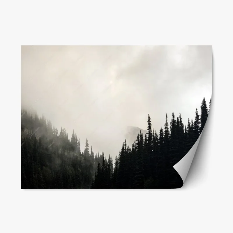 Nature – Wallnifity®