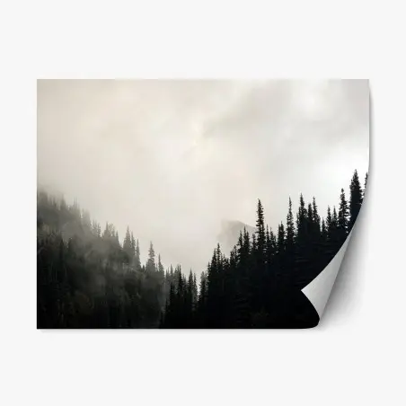 Sticker repositionnable forêt brumeuse aux silhouettes de conifères – Wallnifity®