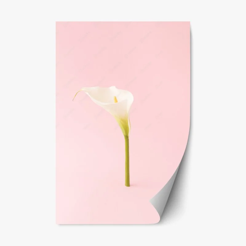 Fleurs et plantes – Wallnifity®