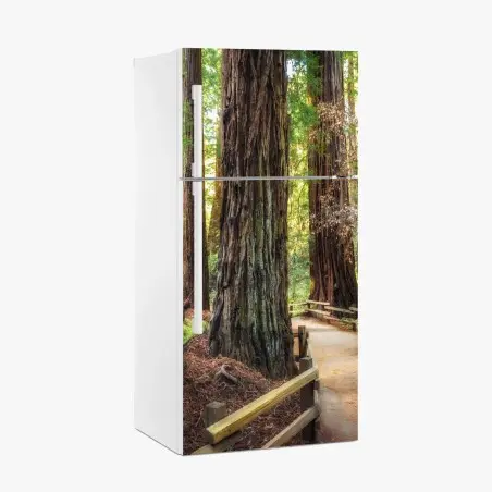 Sticker pour réfrigérateur sentier entre séquoias majestueux – Wallnifity®