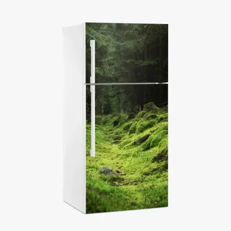 Sticker pour réfrigérateur sentier mousseux dans la forêt – Wallnifity®