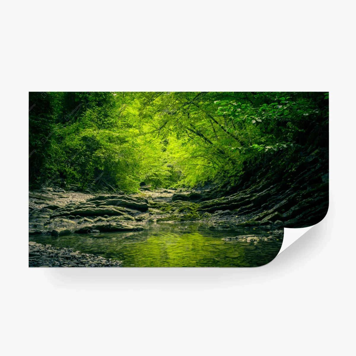 Papier peint ruisseau forestier verdoyant – Wallnifity®