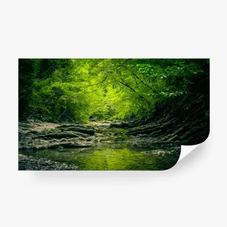 Papier peint ruisseau forestier verdoyant – Wallnifity®