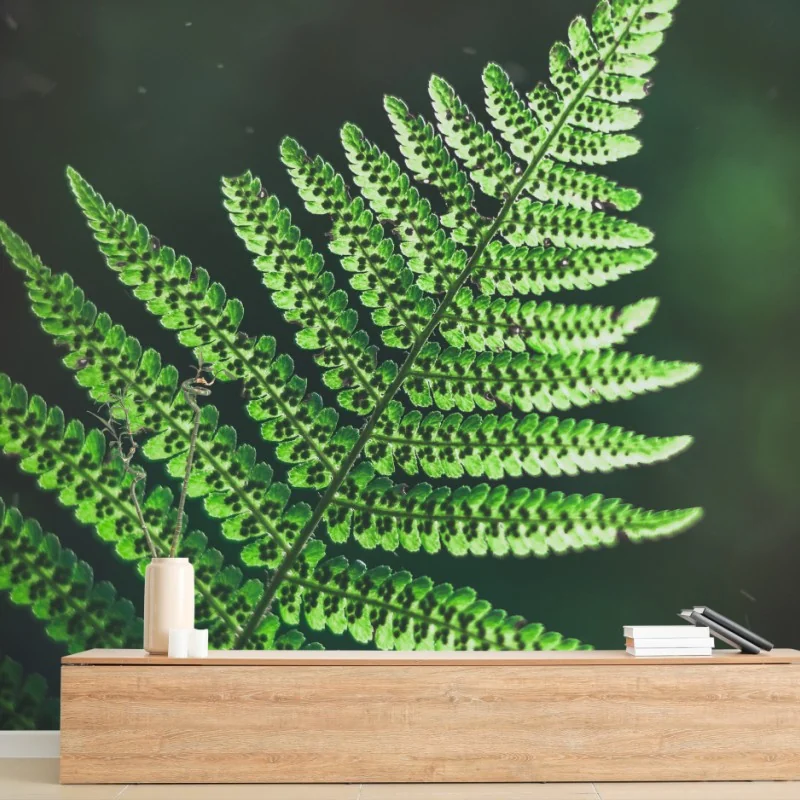 Fleurs et plantes – Wallnifity®