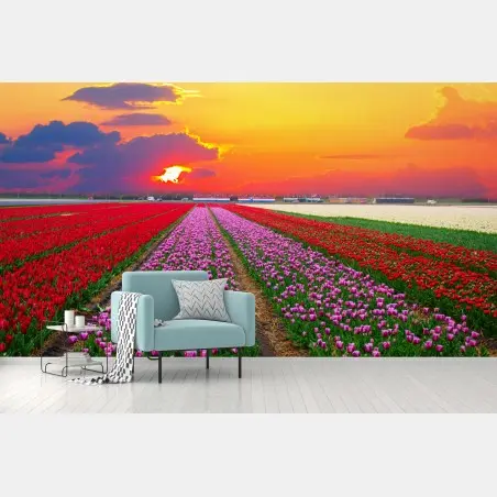 Papier peint champ de tulipes au coucher de soleil – Wallnifity®