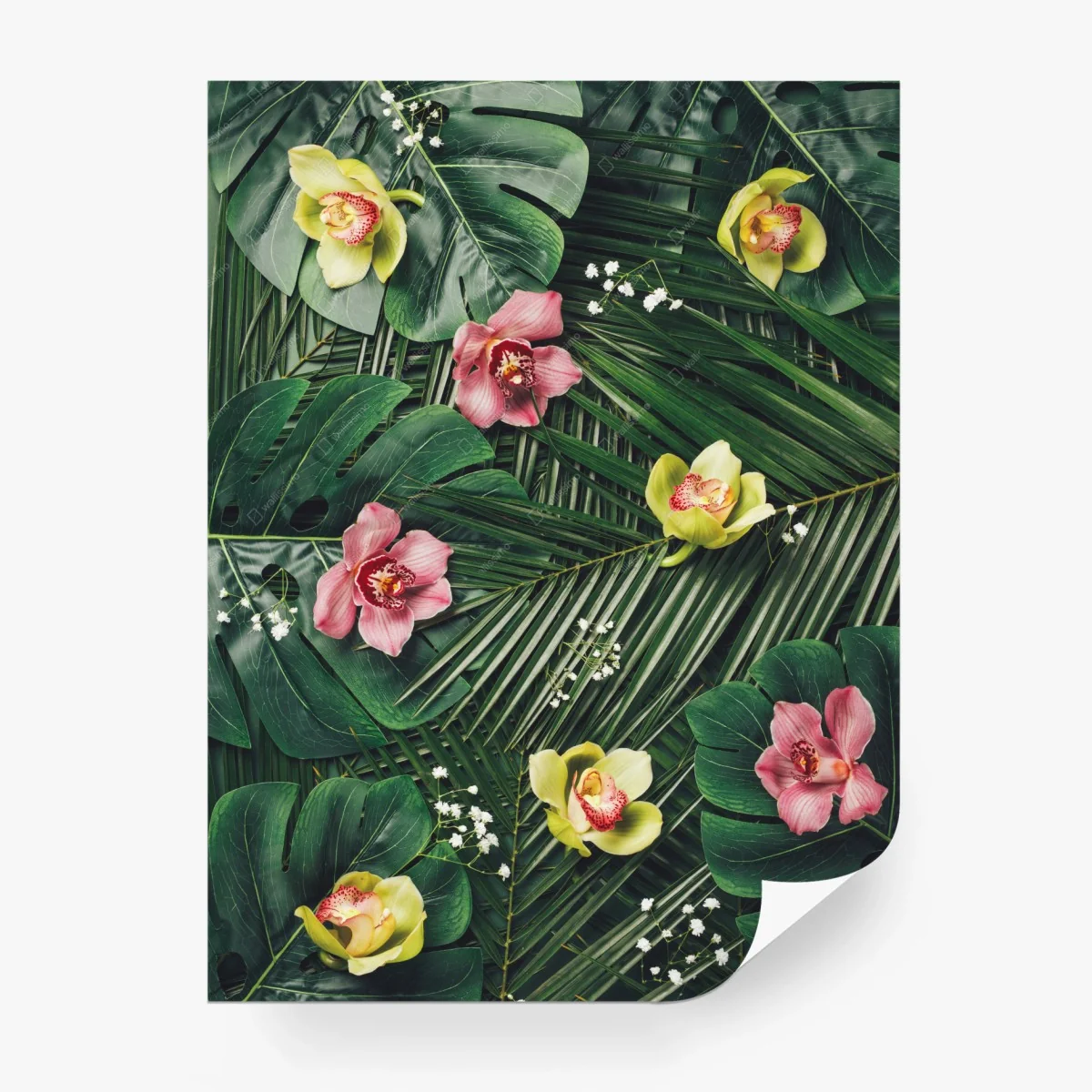 Papier peint motif tropical d'orchidées et de feuilles de monstera – Wallnifity® Papier peint motif tropical d'orchidées et de feuilles de monstera – Wallnifity®