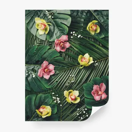 Papier peint motif tropical d'orchidées et de feuilles de monstera – Wallnifity®