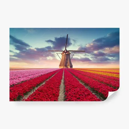 Papier peint moulin au milieu des champs de tulipes colorées – Wallnifity®
