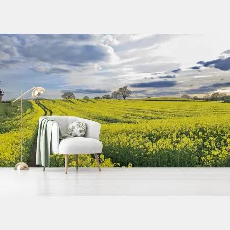 Papier peint champ de colza doré au coucher du soleil – Wallnifity®