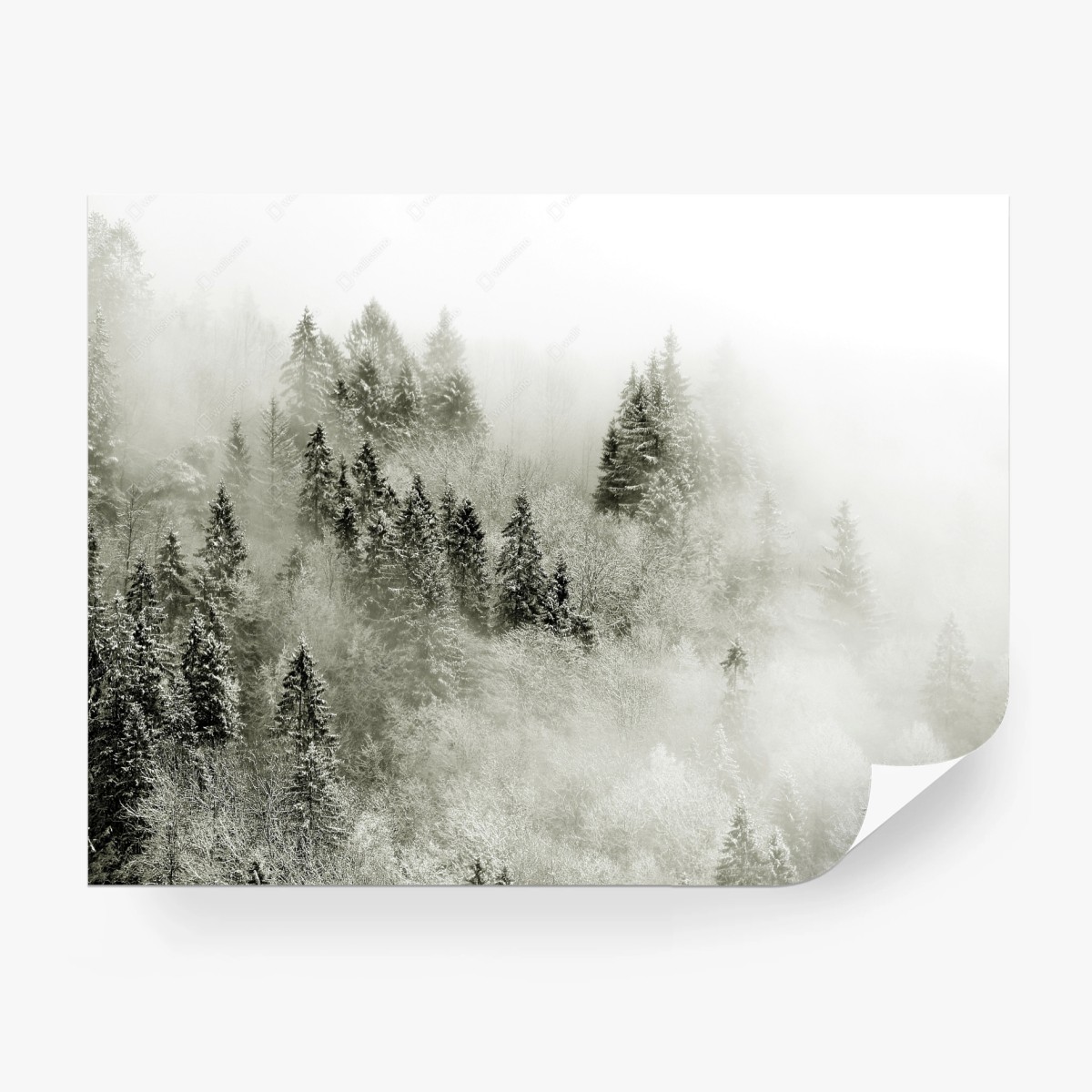 Papier peint forêt enneigée dans la brume – Wallnifity®