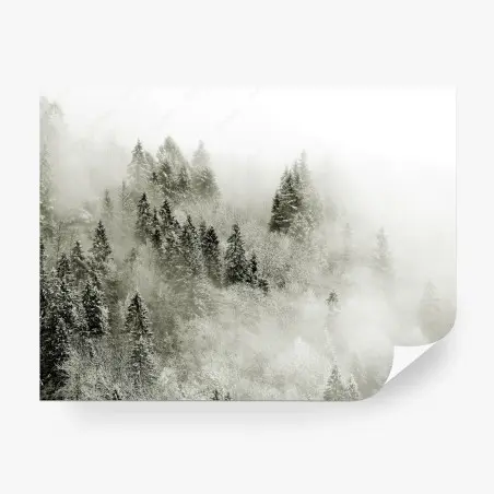 Papier peint forêt enneigée dans la brume – Wallnifity®