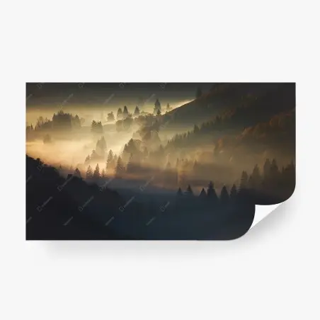 Papier peint forêt brumeuse au lever du soleil – Wallnifity®