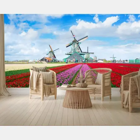 Papier peint champ de tulipes et moulins à vent aux Pays-Bas – Wallnifity®