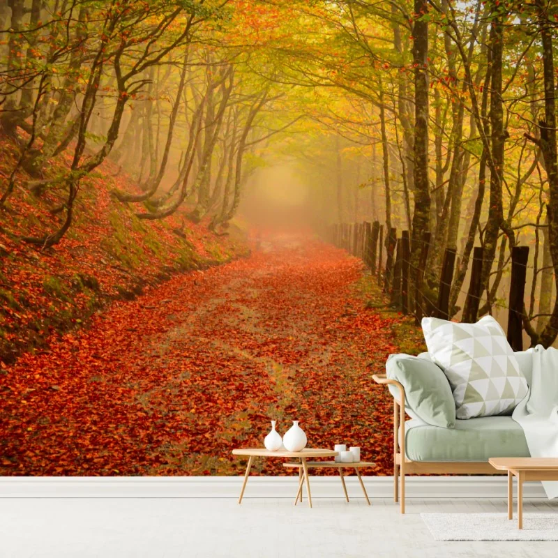 Forêts – Wallnifity®