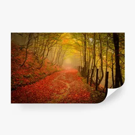 Papier peint allée d'automne sous la brume – Wallnifity®