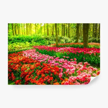 Papier peint champ de tulipes colorées en sous-bois – Wallnifity®