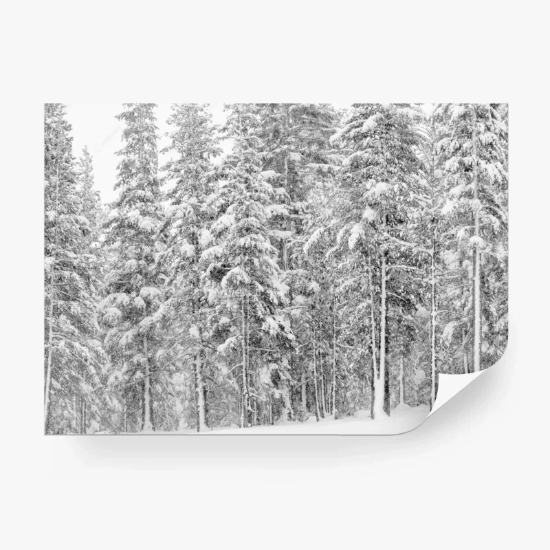Papier peint forêt enneigée en noir et blanc – Wallnifity® Papier peint forêt enneigée en noir et blanc – Wallnifity®