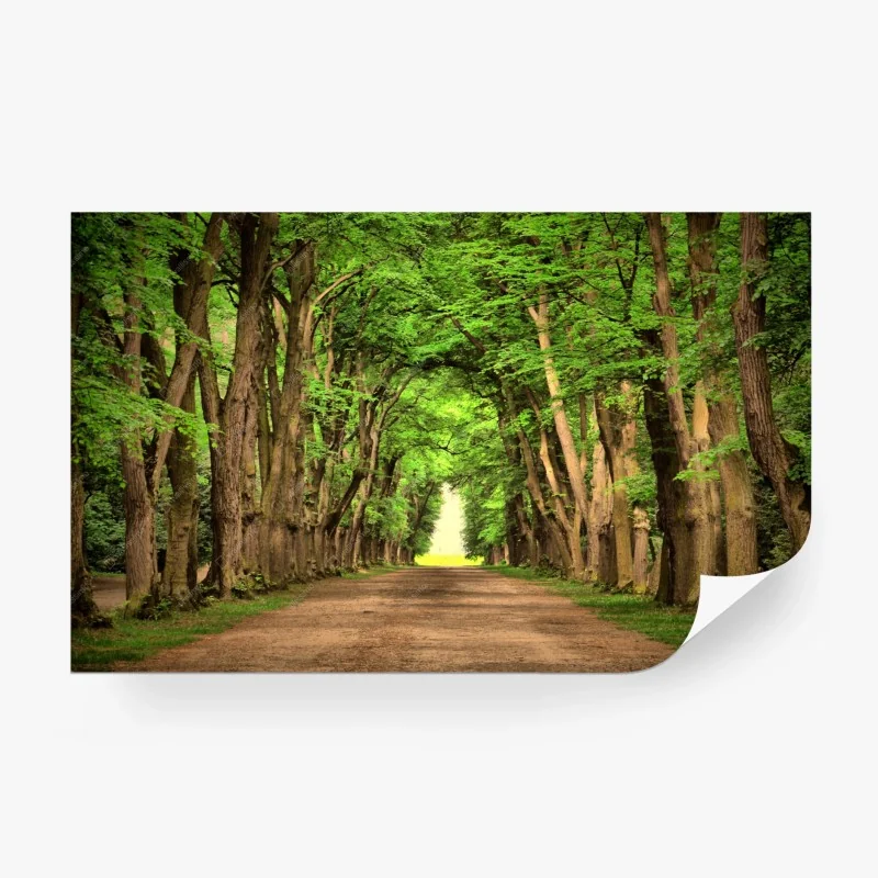 Papier peint allée verdoyante vers la lumière – Wallnifity® Papier peint allée verdoyante vers la lumière – Wallnifity®