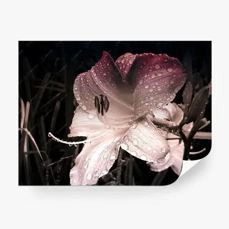 Papier peint lys perlé de rosée – Wallnifity®