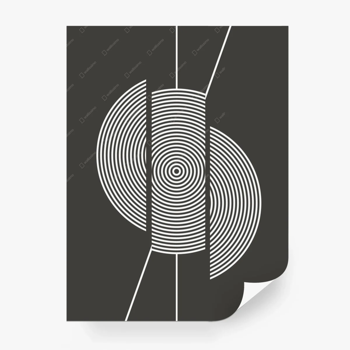 Papier peint composition géométrique concentrique noir et blanc – Wallnifity®
