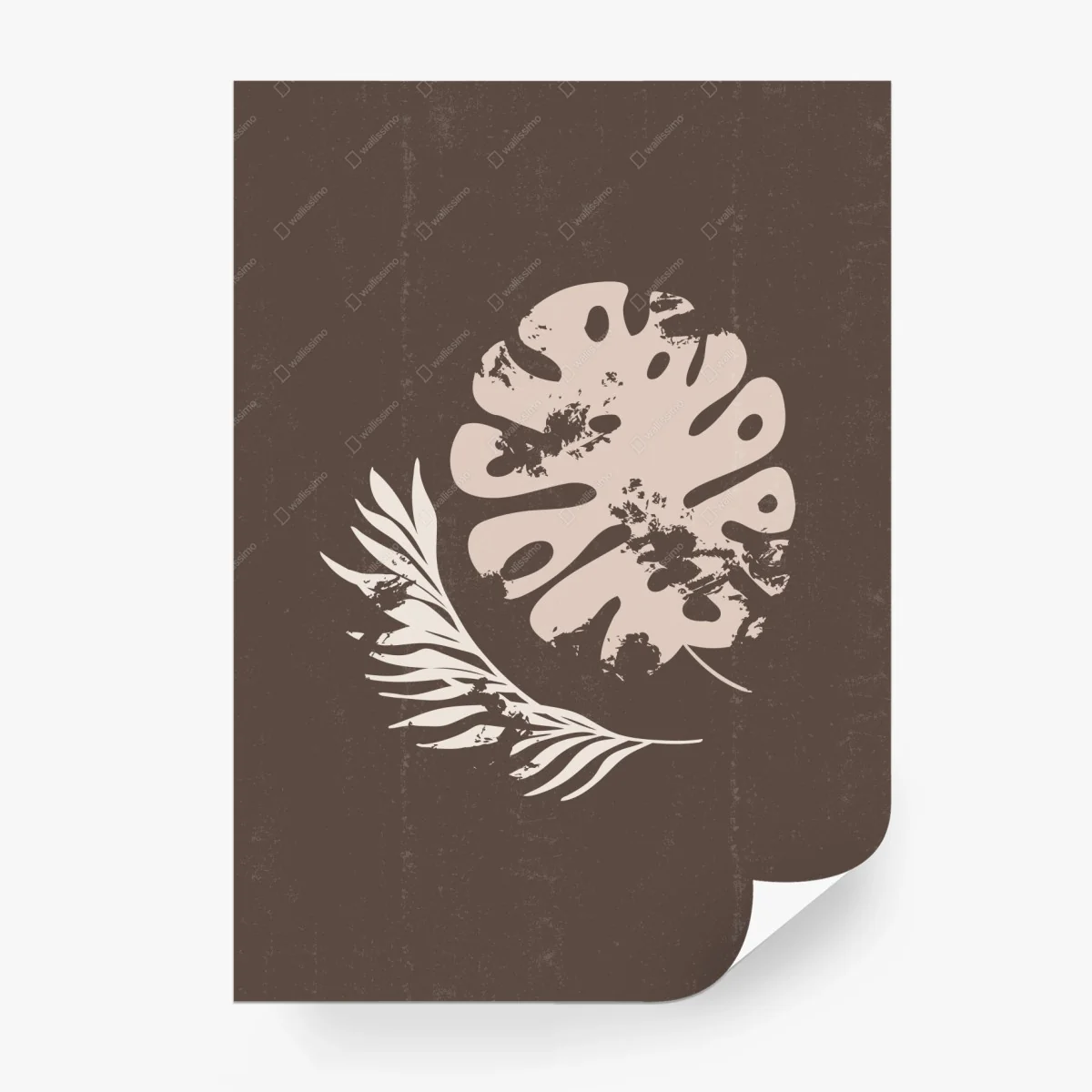 Papier peint illustration botanique bohème minimaliste – Wallnifity®